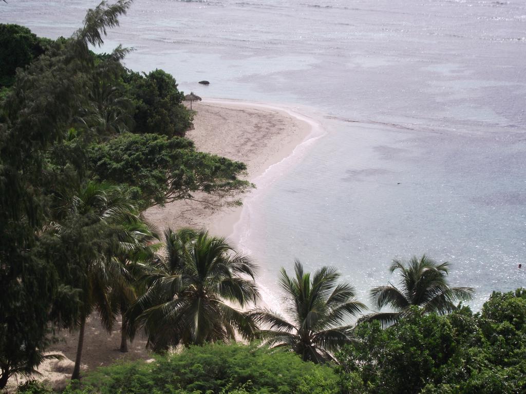L'oiseau du Paradis vue mer Saint-Francois  Rom bilde