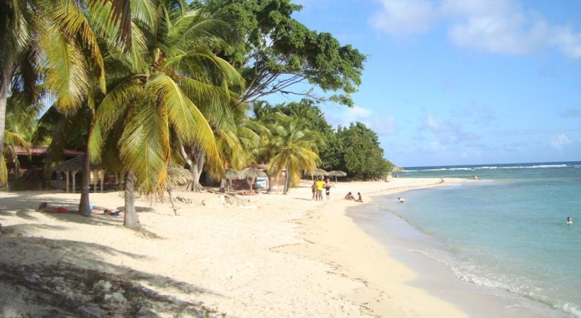 L'oiseau du Paradis vue mer Saint-Francois  Rom bilde